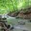 640px-Forest-Creek-Eagleville-PA-USA