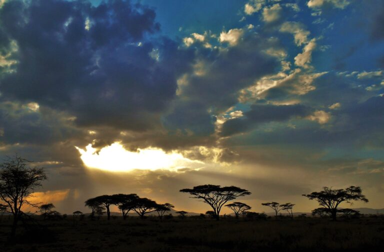 a short party for strangers on the Serengeti by Timothy Hudenburg