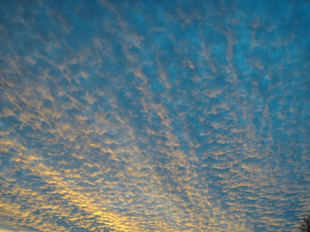 An azure sky