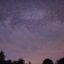 Night_Sky_Over_the_Maple_Trees